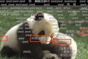 百变日韩公主换装手游 